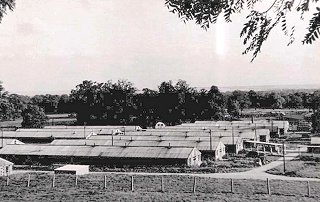 A view overlooking the ex-US Army hospital huts at Wimpole Park. It is thought the image dates around 1950. A view overlooking the ex-US Army hospital huts at Wimpole Park. It is thought the image dates around 1950.